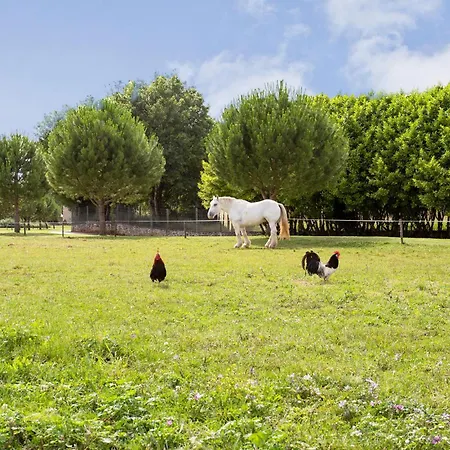 Cozy In With Heated Swimming Pool Сasa de vacaciones *