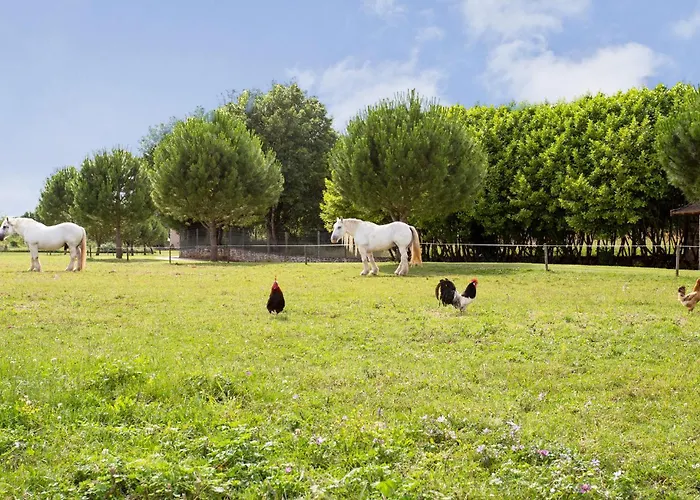 Cozy In With Heated Swimming Pool Сasa de vacaciones *